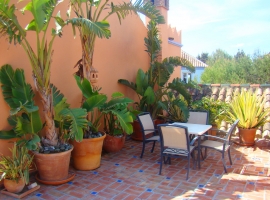 sonnige Dachterrasse mit vielen Pflanzen und zweitem Essplatz im Freien