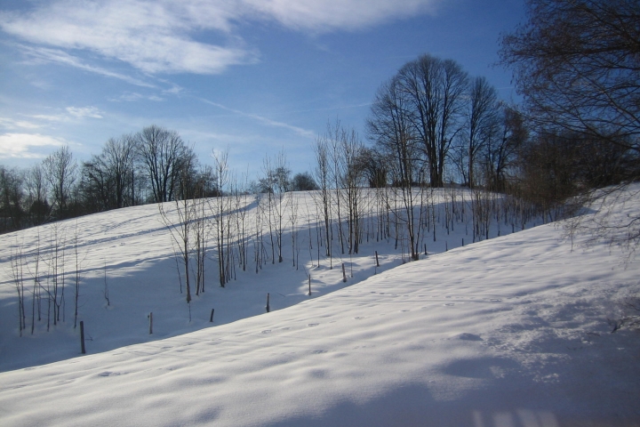 Blick vom Balkon nach Nordwesten auf den Winterwanderweg