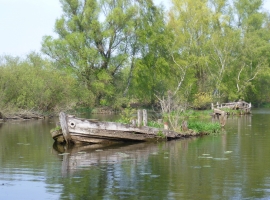 Foto 17