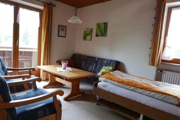 Wohn-Schlafzimmer