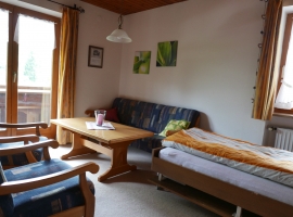 Wohn-Schlafzimmer