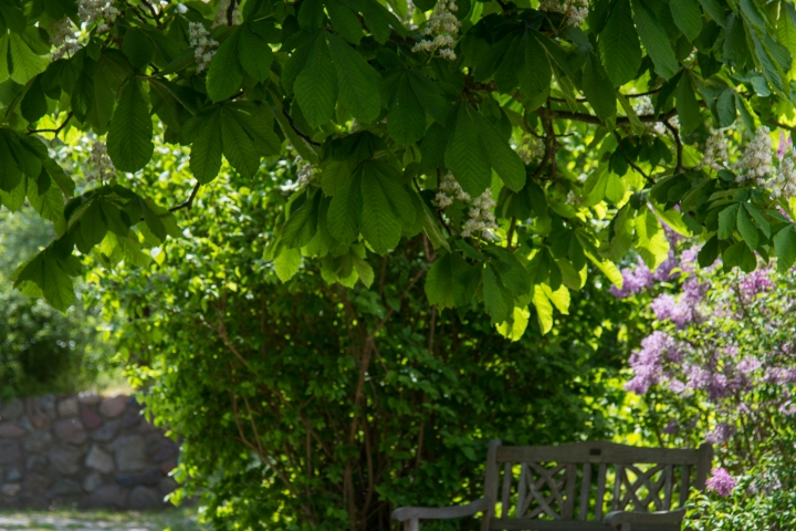 Garten