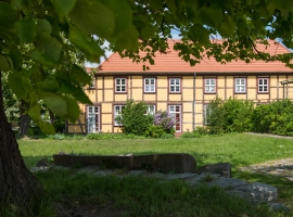Foto 11