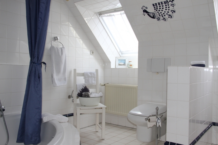 Badezimmer mit Dusche