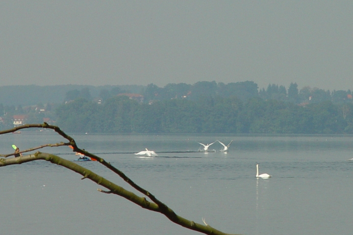private Badestelle am See