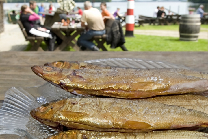 Fischerei am See