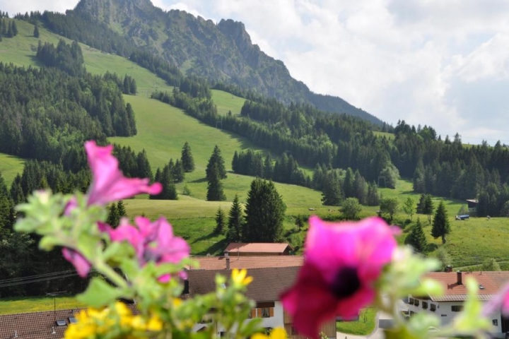 Blick auf unseren Hausberg, den Sorgschrofen
