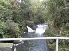 Foto 15