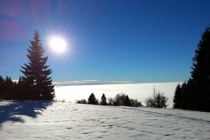 Einmaliger Blick