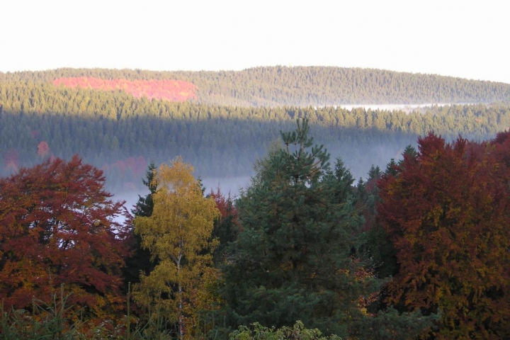 Herbststimmung am Aschberg