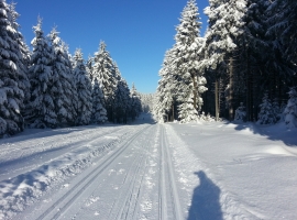 Foto 21