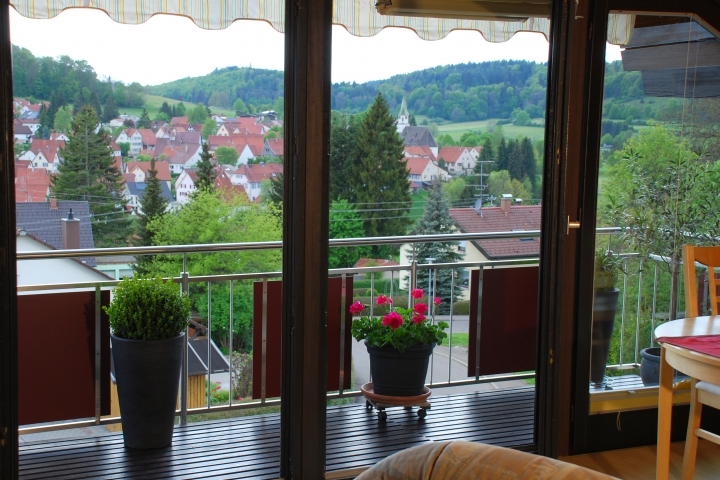 Aussicht mit Balkon vom Wohnzimmer