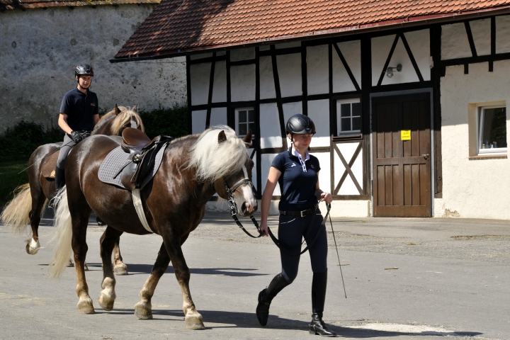 Haupt- und Landgestüt 