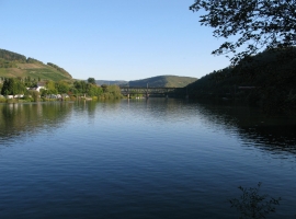Foto 19