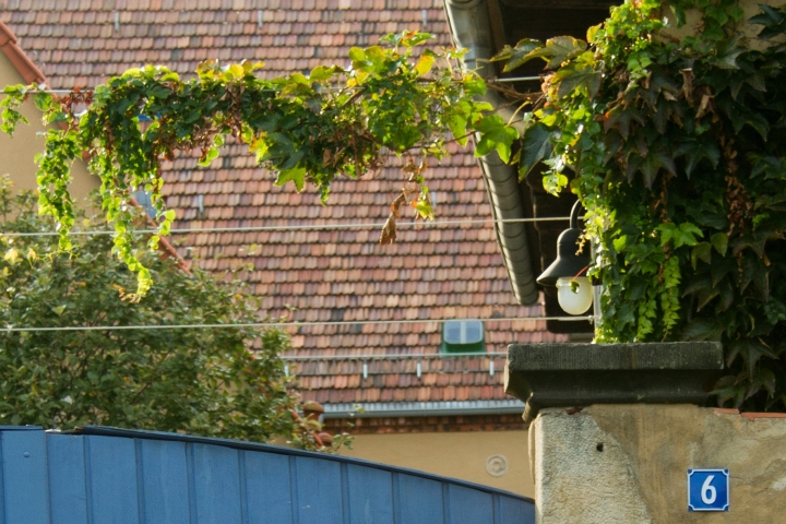 Blick über das Hoftor