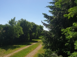 Foto 14