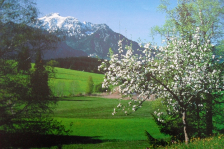 Umgebung im Frühling