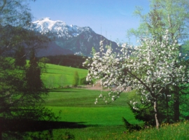 Umgebung im Frühling