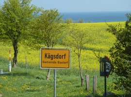 Foto 19