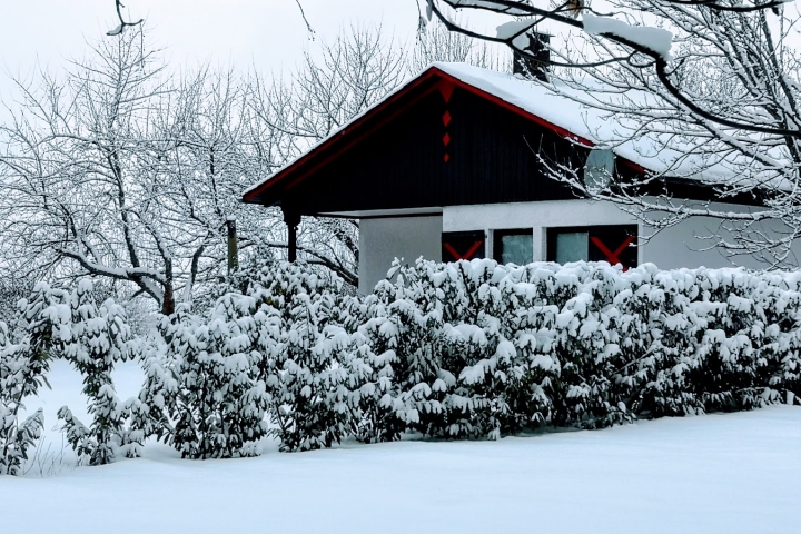 Winterlich