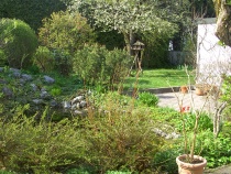 Foto 2
