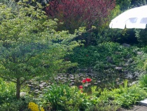 Foto 11