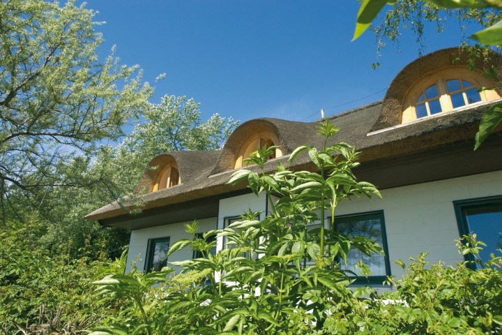 Ferienwohnungen im Ferienpark Wulfener Hals | Aussenansicht