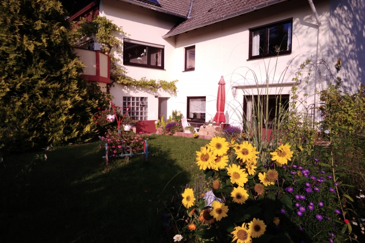 Sonnenblumen, wie der Name der Ferienwohnung