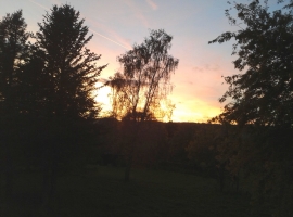 Foto 20