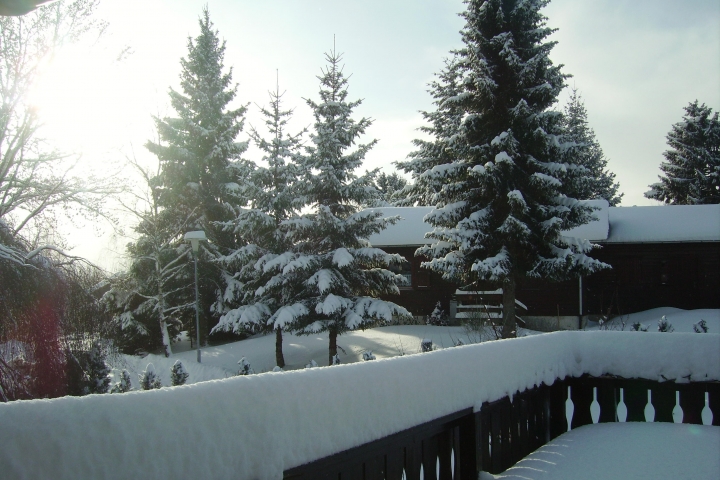 aufstehen und in die Wintersonne blinzeln