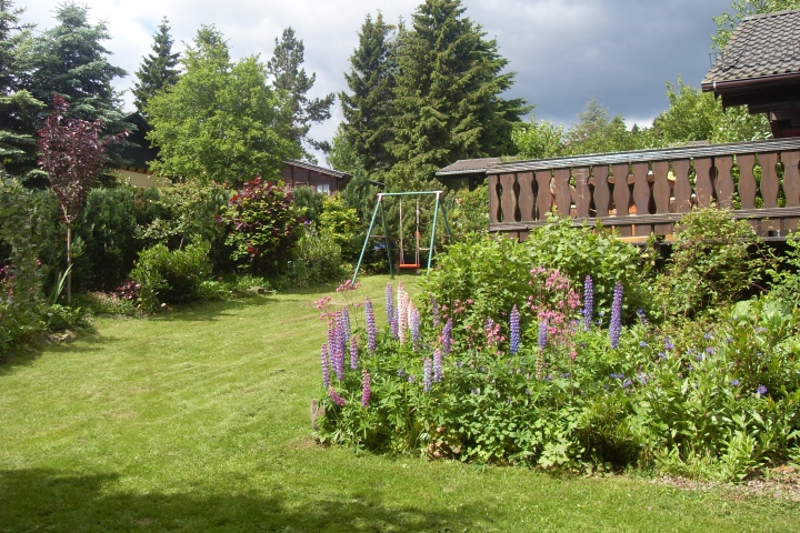 Blick in den Garten