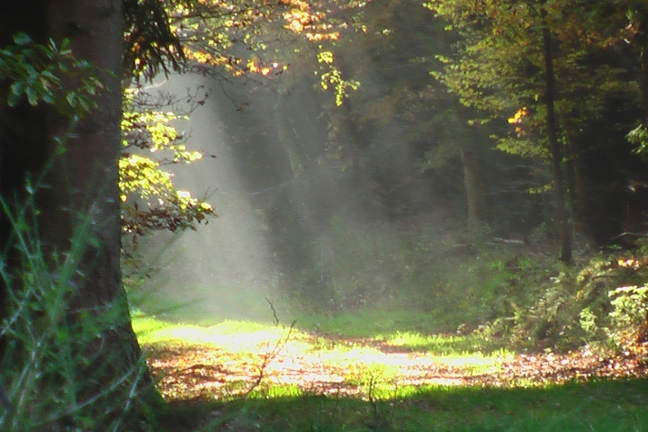 Impressionen im Herbst
