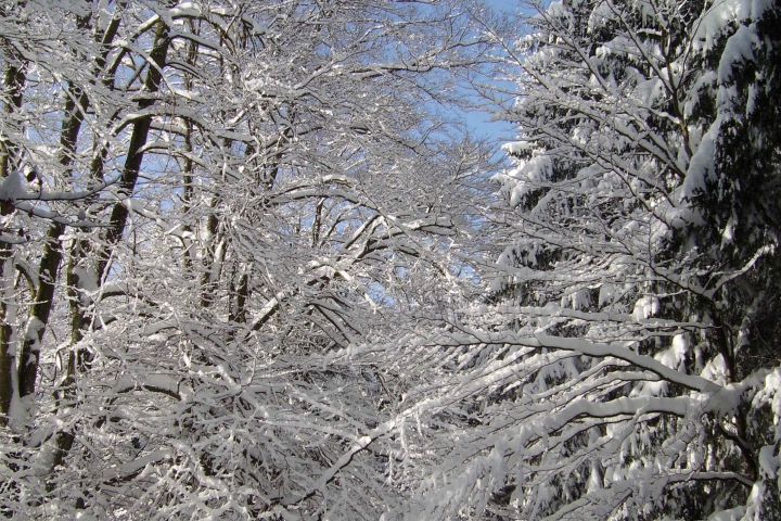 weiß-blaue Winteridylle