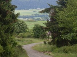 Foto 15