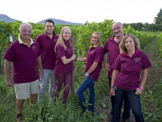 Ferienwohnungen Bioweingut Rehm in der Pfalz Ferienwohnungen Bioweingut Rehm in der Pfalz