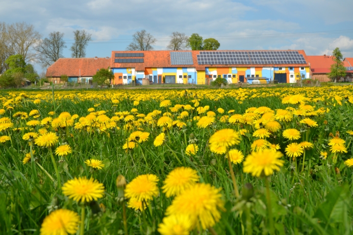 Es ist Frühling in der Prignitz
