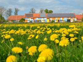 Es ist Frühling in der Prignitz