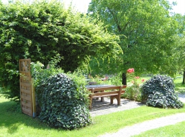Foto 8
