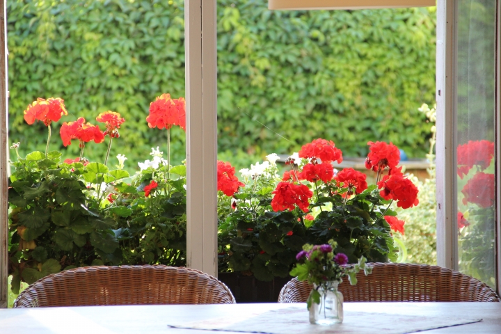 Schöne Gästewohnung mit Garten | 