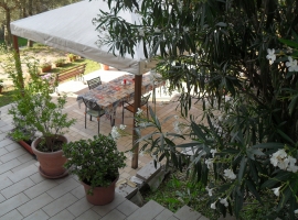Foto 12