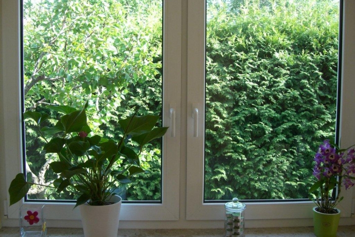 Hinter der Gartenhecke gehts zur Kaufhalle und zum Bäcker ...
