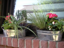 Foto 11