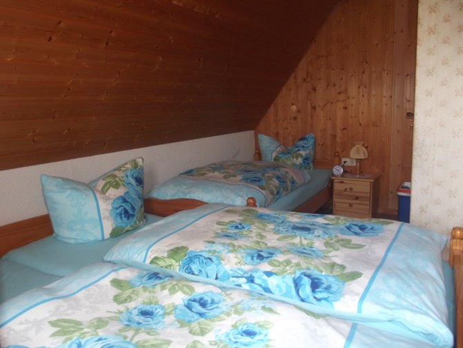 FeWo Dachgeschoß, mit Einzelbett im Hintergrund