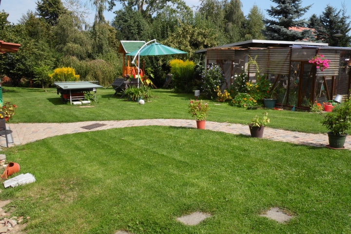 Blick in den Garten