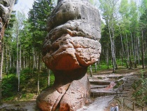 Foto 12