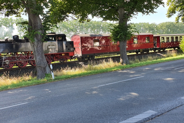Der Molli