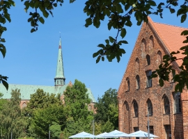 Foto 14