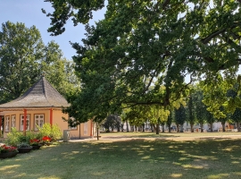 Foto 20