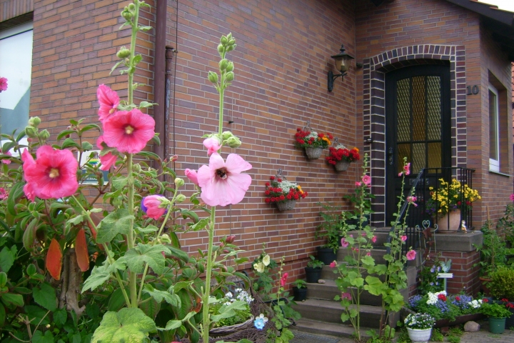 Ferienwohnung Strohschein | Hauseingang