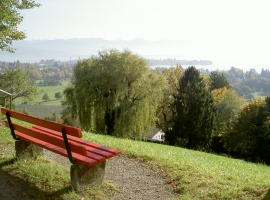 Foto 30